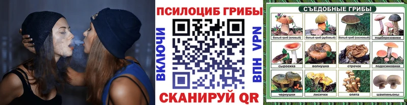 Псилоцибиновые грибы Psilocybe  Кемь 